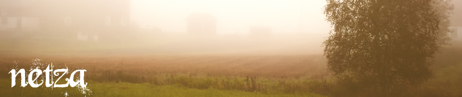 mist