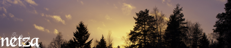 evening
