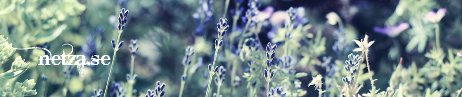 blommor